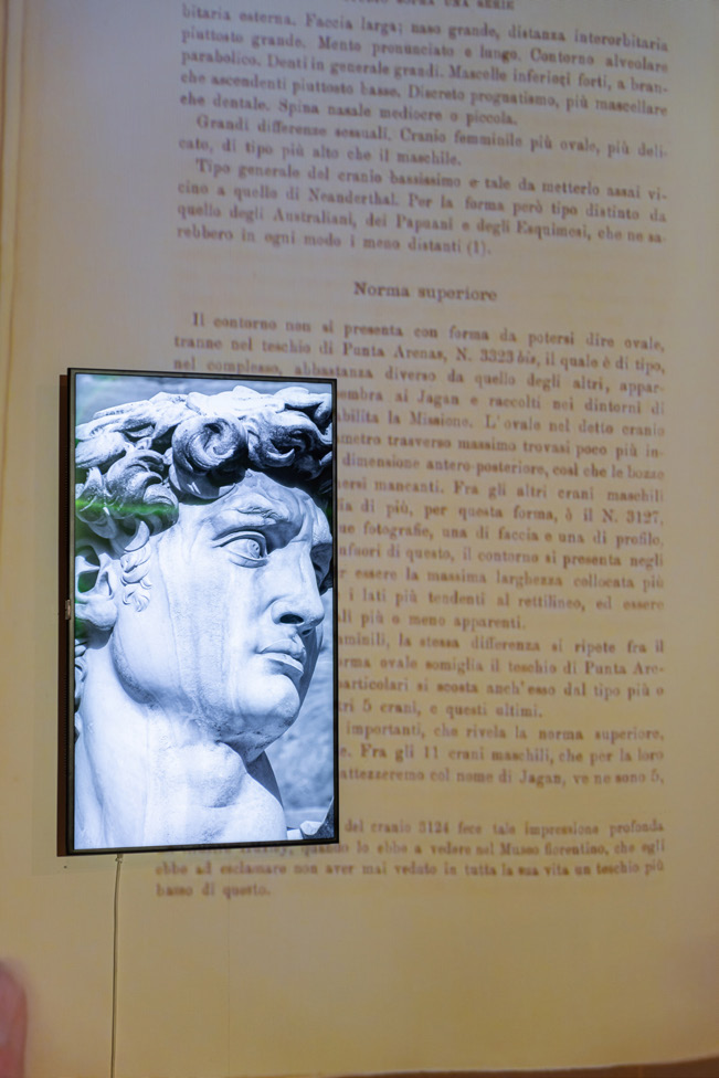 the-man-of-stone-and-other-treasures-videoinstallation-villa-romana-Florence-2020-01-marcel-moraga-millan